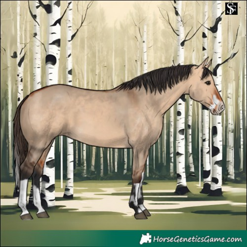 Horse Color:Bay Dun  and Bay Dun Splash 