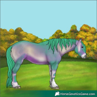 Horse Color:Watercolor Brown Onyx 