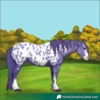 Horse Color:Watercolor Black Sabino Near Leopard 