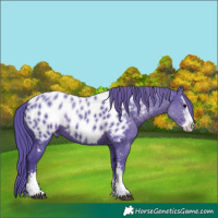 Horse Color:Watercolor Black Sabino Appaloosa
