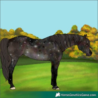 Horse Color:Void Midnight Brown Tobiano 