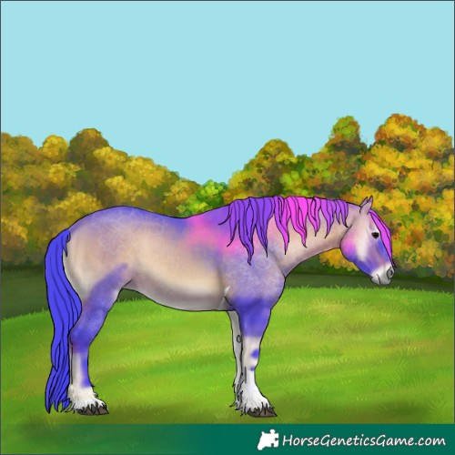 Horse Color:Watercolor Bay Onyx Tobiano 
