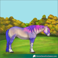 Horse Color:Watercolor Bay Onyx Tobiano 