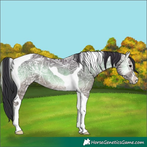 Horse Color:White Spotted Brown Ice Onyx Tobiano 