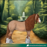 Horse Color:Red Dun