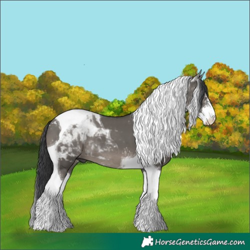 Horse Color:Grullo Sabino Tobiano 