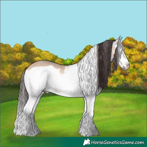 Horse Color:Bay Onyx Splash Frame Rabicano 