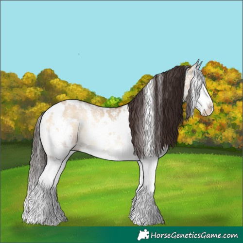 Horse Color:White Spotted Bay Onyx Sabino Splash Rabicano 