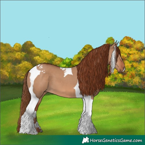 Horse Color:Red Dun Tobiano 