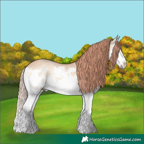 Horse Color:Red Dun Onyx Splash 