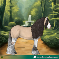 Horse Color:Bay Dun Splash