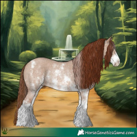 Horse Color:Red Dun Sabino Rabicano 