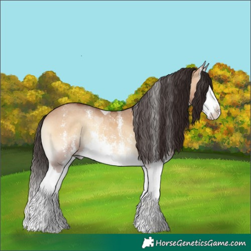 Horse Color:Bay Onyx Sabino Splash 