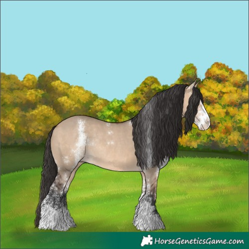 Horse Color:Bay Dun Sabino Rabicano 