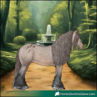 Horse Color:Brown Dun Appaloosa 