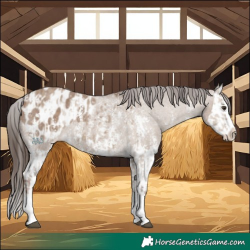 Horse Color:Liver Red Dun Sabino Splash Blanket  and Liver Red Dun Sabino Splash Blanket 