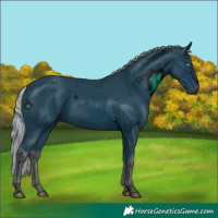 Horse Color:ERROR: UNKNOWN ANOMALY