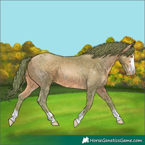 Horse Color:Watercolor Brown Pearl 