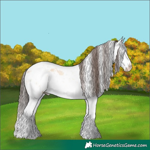 Horse Color:White Spotted Amber Champagne Dun Sabino Splash Rabicano Brindle 