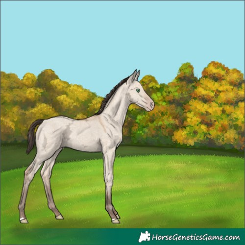 Horse Color:Amber Champagne Ice Dun 