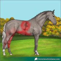 Horse Color:Silver Grullo Ice