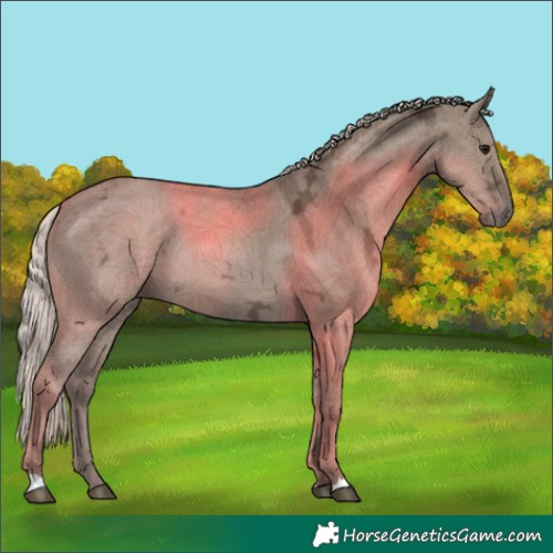 Horse Color:Silver Grullo Ice 