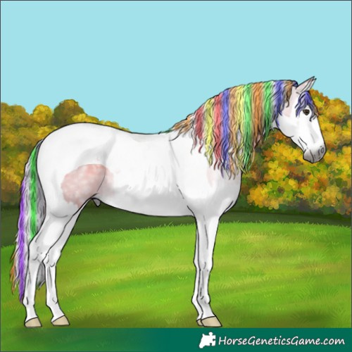 Horse Color:Gray Painted Watercolor Chestnut Splash Tobiano 