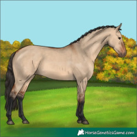 Horse Color:Bay Dun Rabicano 