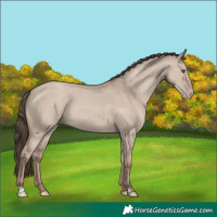 Horse Color:Classic Champagne Dun 