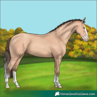 Horse Color:Amber Champagne Splash