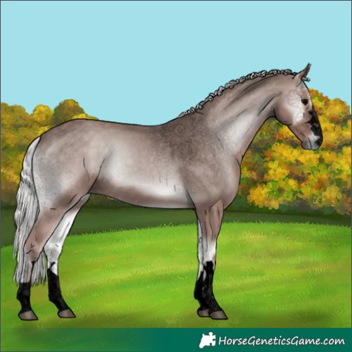 Horse Color:Void Platinum Silver Blue Onyx 