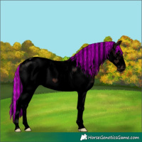 Horse Color:Void Painted Brown Sabino Tobiano Frame