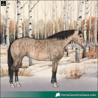 Horse Color:Bay Dun  and Bay Dun 