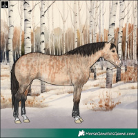 Horse Color:Bay Dun  and Bay Dun 