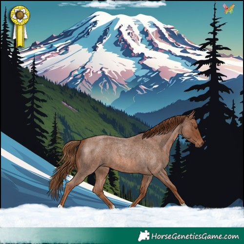 Horse Color:Red Roan 