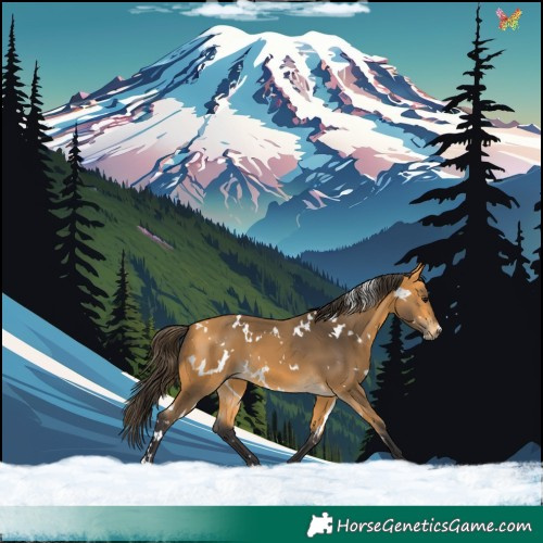 Horse Color:White Spotted Buckskin 