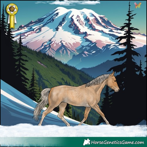 Horse Color:Palomino Roan 