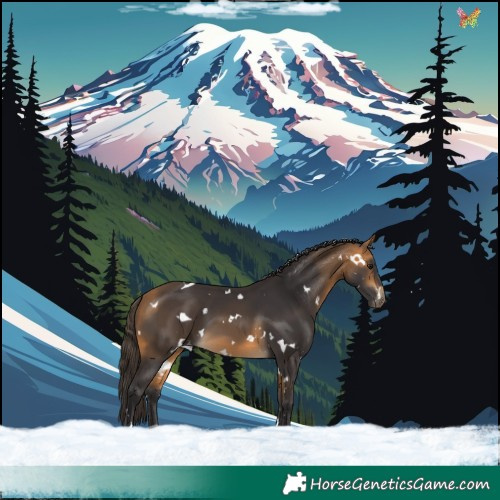 Horse Color:White Spotted Buckskin 