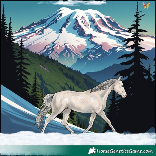 Horse Color:White Spotted Cremello 