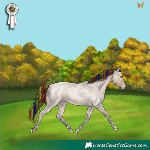 Horse Color:Painted Amber Champagne Ice Roan 