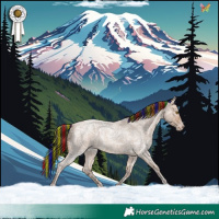 Horse Color:Painted Amber Champagne Ice Roan