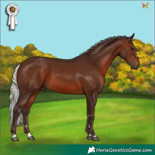 Horse Color:Silver Brown