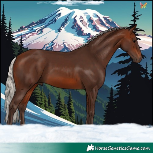 Horse Color:Silver Brown 