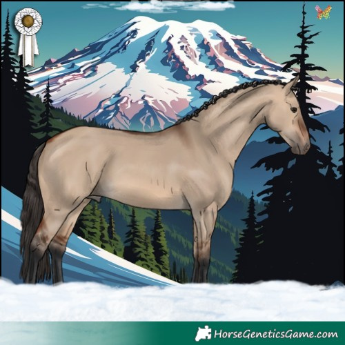 Horse Color:Bay Dun 