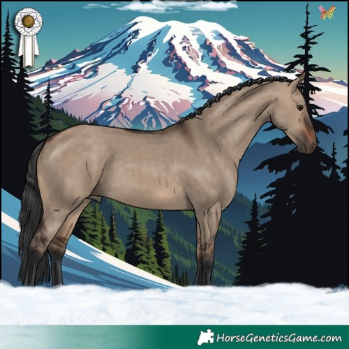 Horse Color:Brown Dun 