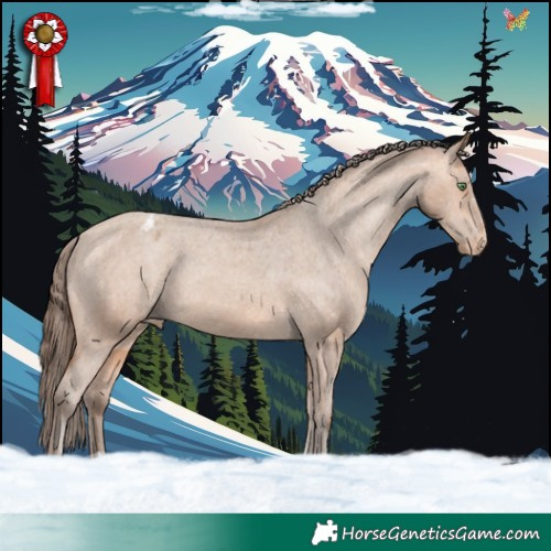 Horse Color:Amber Champagne Varnish Rabicano 