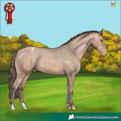 Horse Color:Amber Champagne Appaloosa Rabicano 