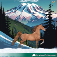Horse Color:Gold Champagne Tobiano 