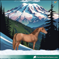 Horse Color:Gold Champagne Tobiano 