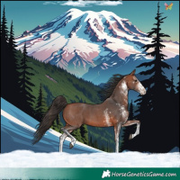 Horse Color:White Spotted Bay 